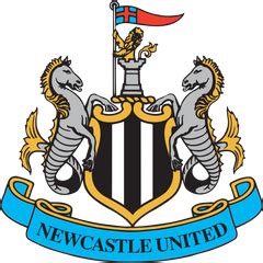 sofifa newcastle|Newcastle Utd .